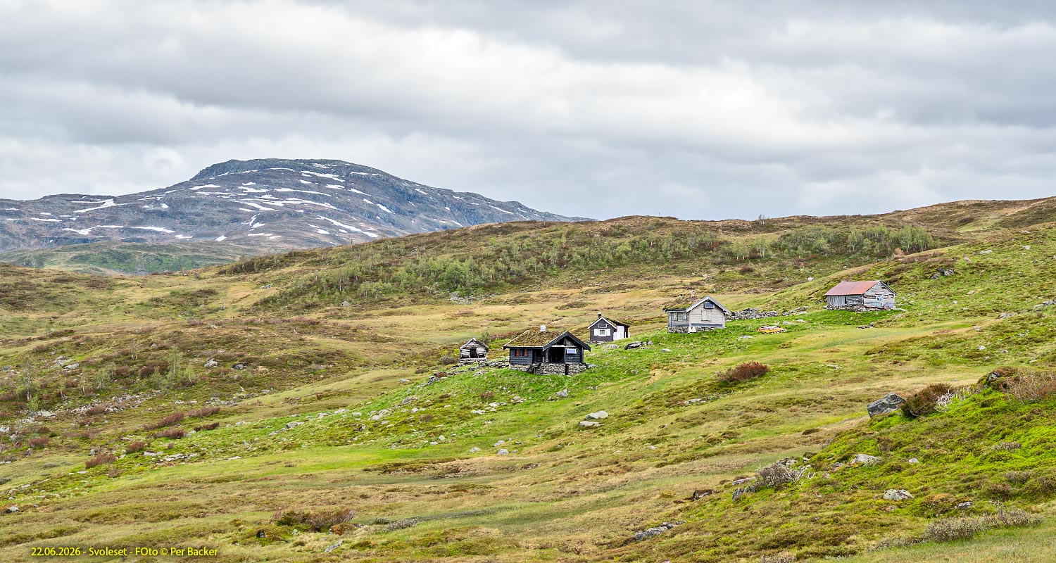 Svoleset