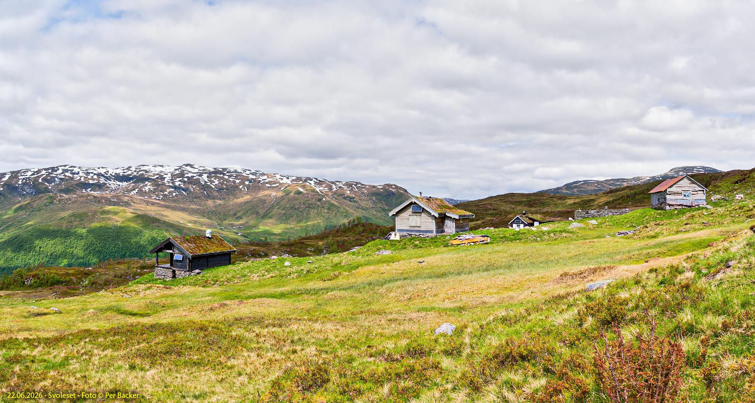 Svoleset