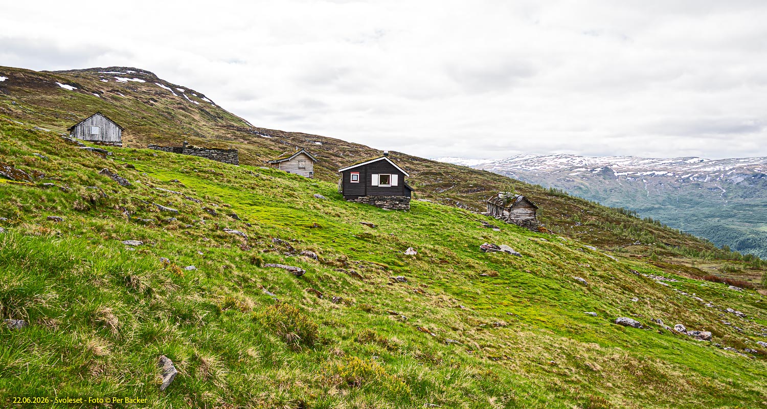 Svoleset