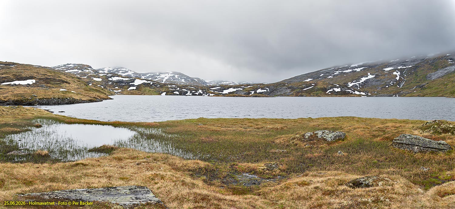 Holmavatnet