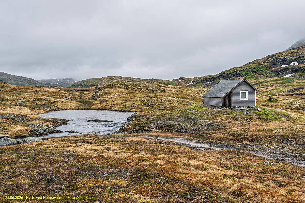 Hytte ved Holmavatnet