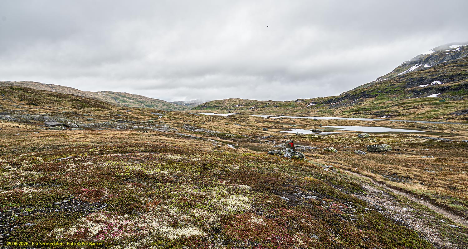 Frå Sendedalen