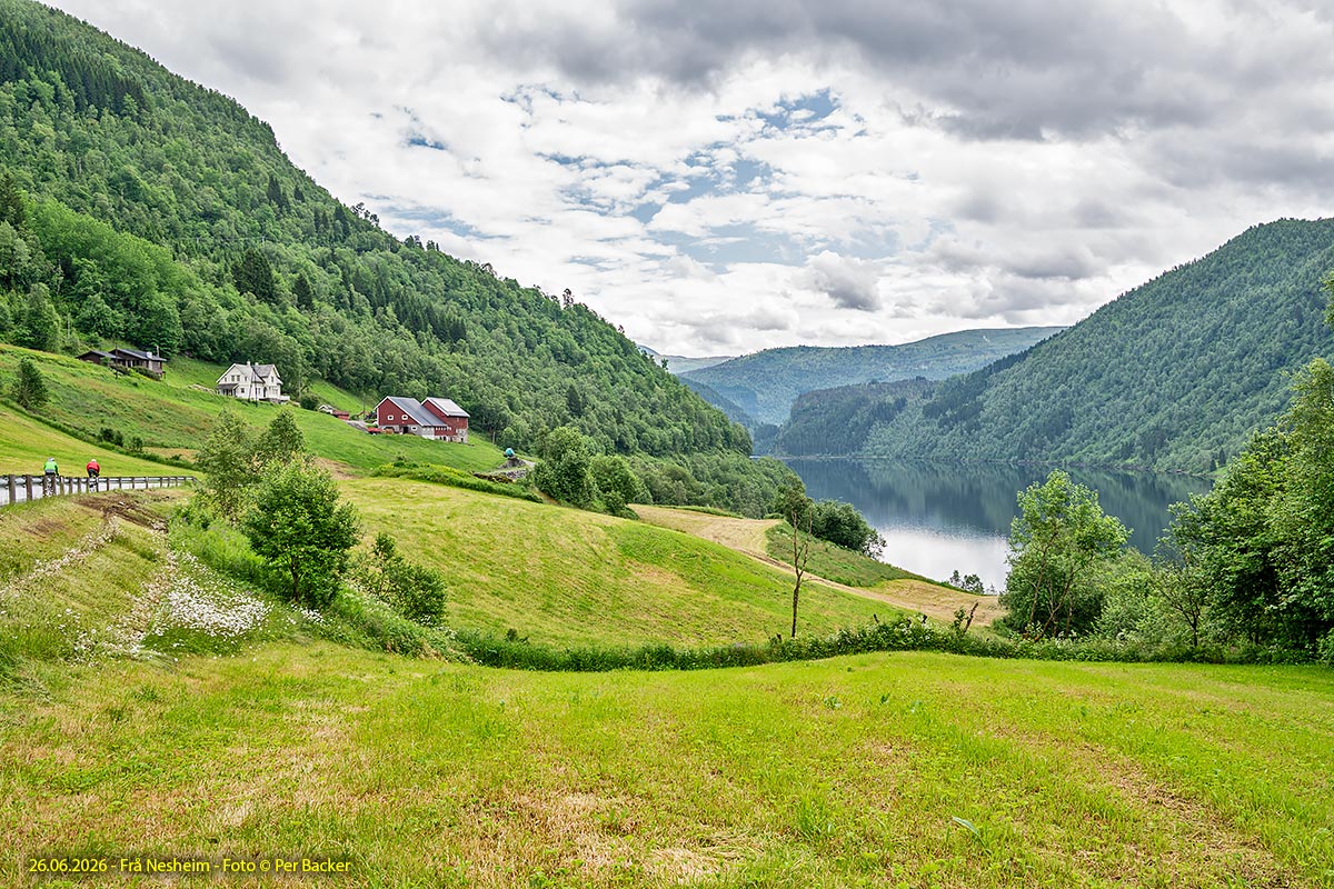 Frå Nesheim