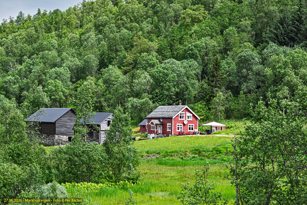 Markhusteigen