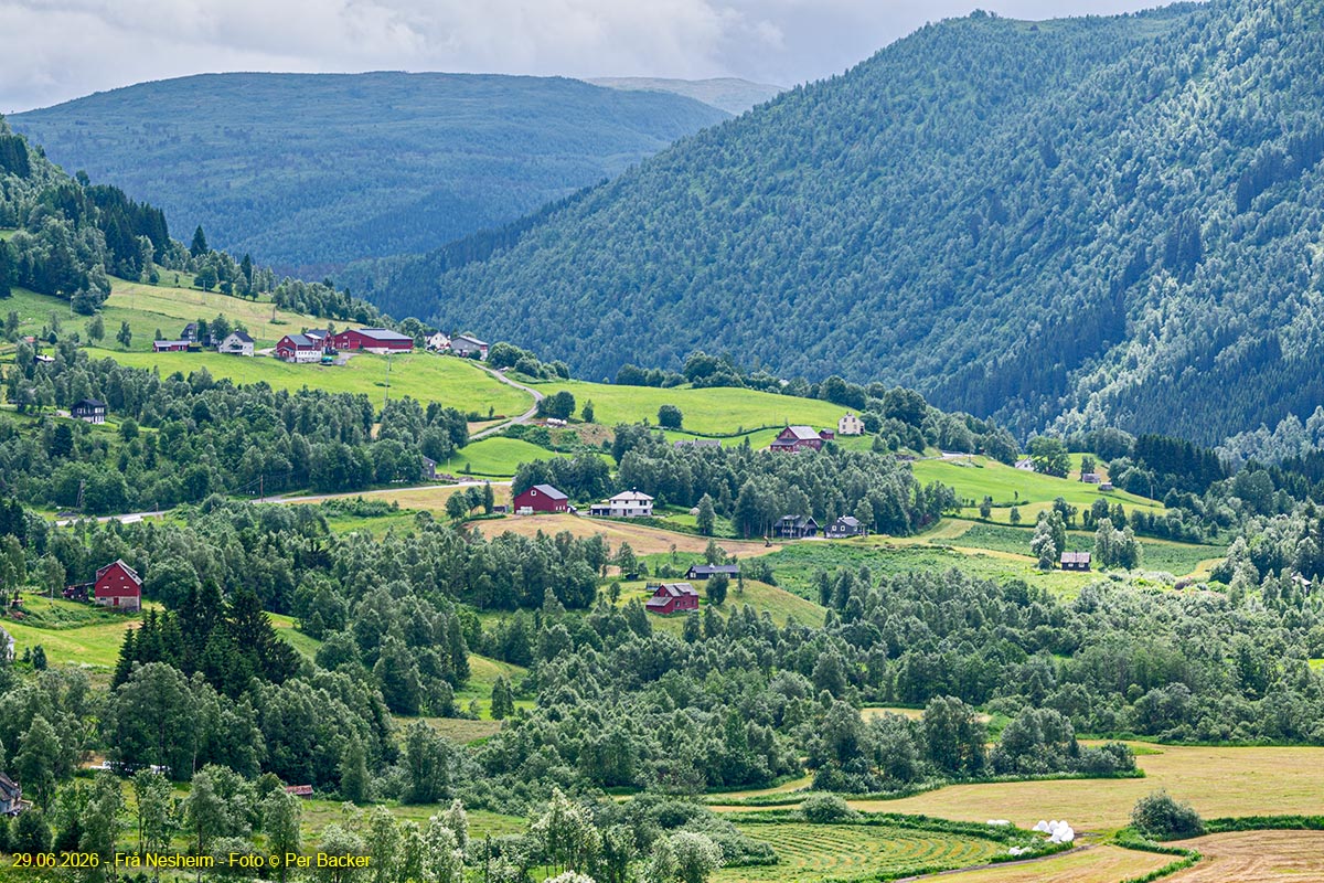 Frå Nesheim