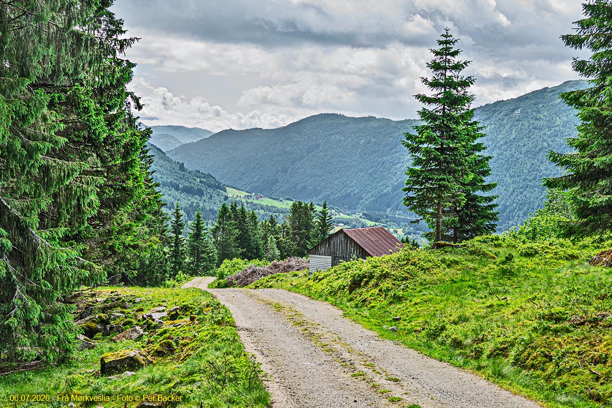 Frå Mørkveslia