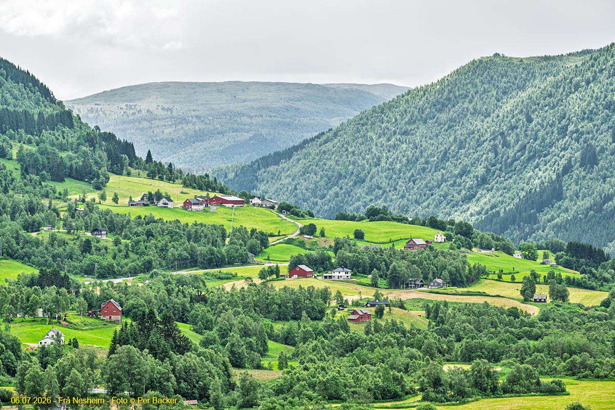 Frå Nesheim