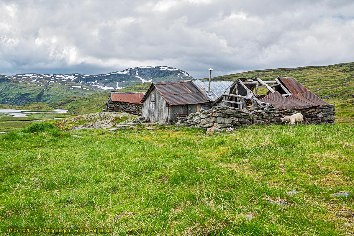 Frå Vetlegrungen