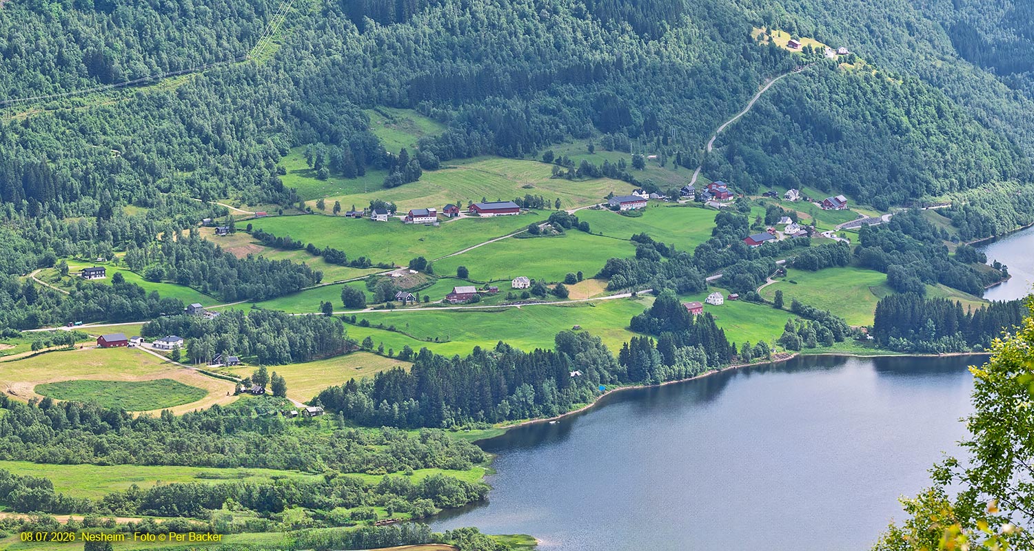 Nesheim