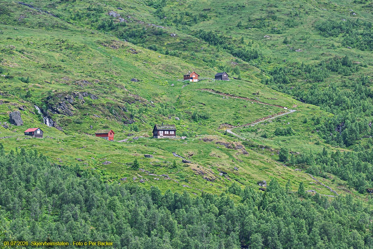 Frå Skjervheimstølen