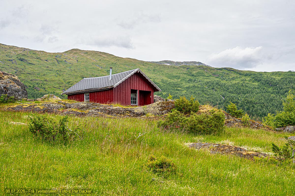 Frå Tveitastølen