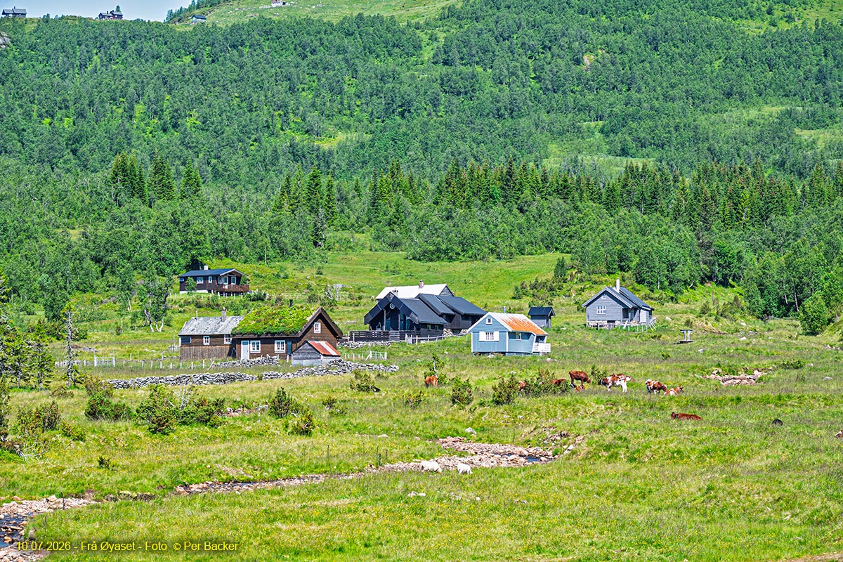 xxFrå Øyaset