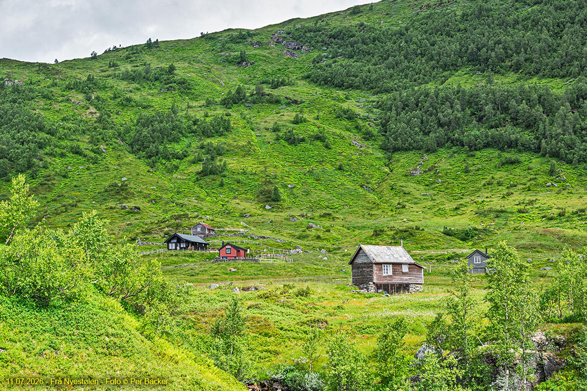 Nyestølen