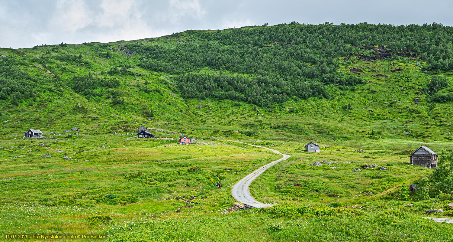 Nyestølen