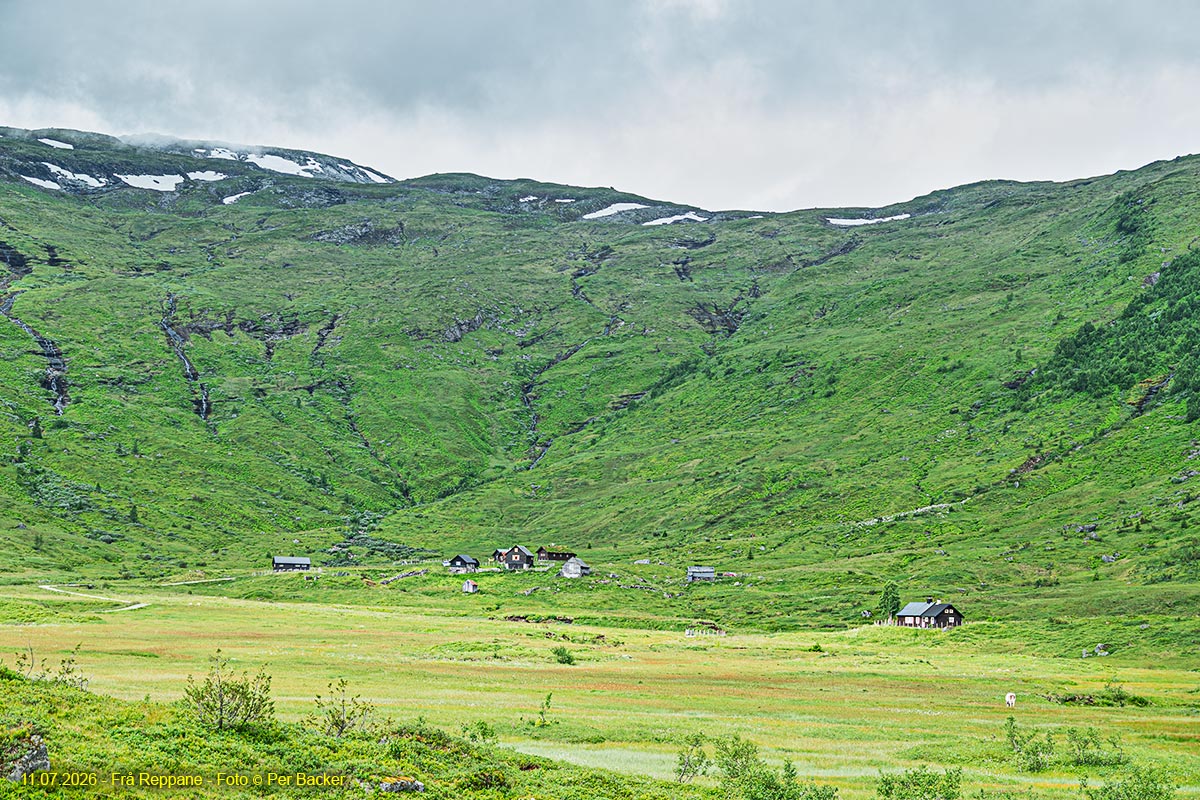 Frå Reppane