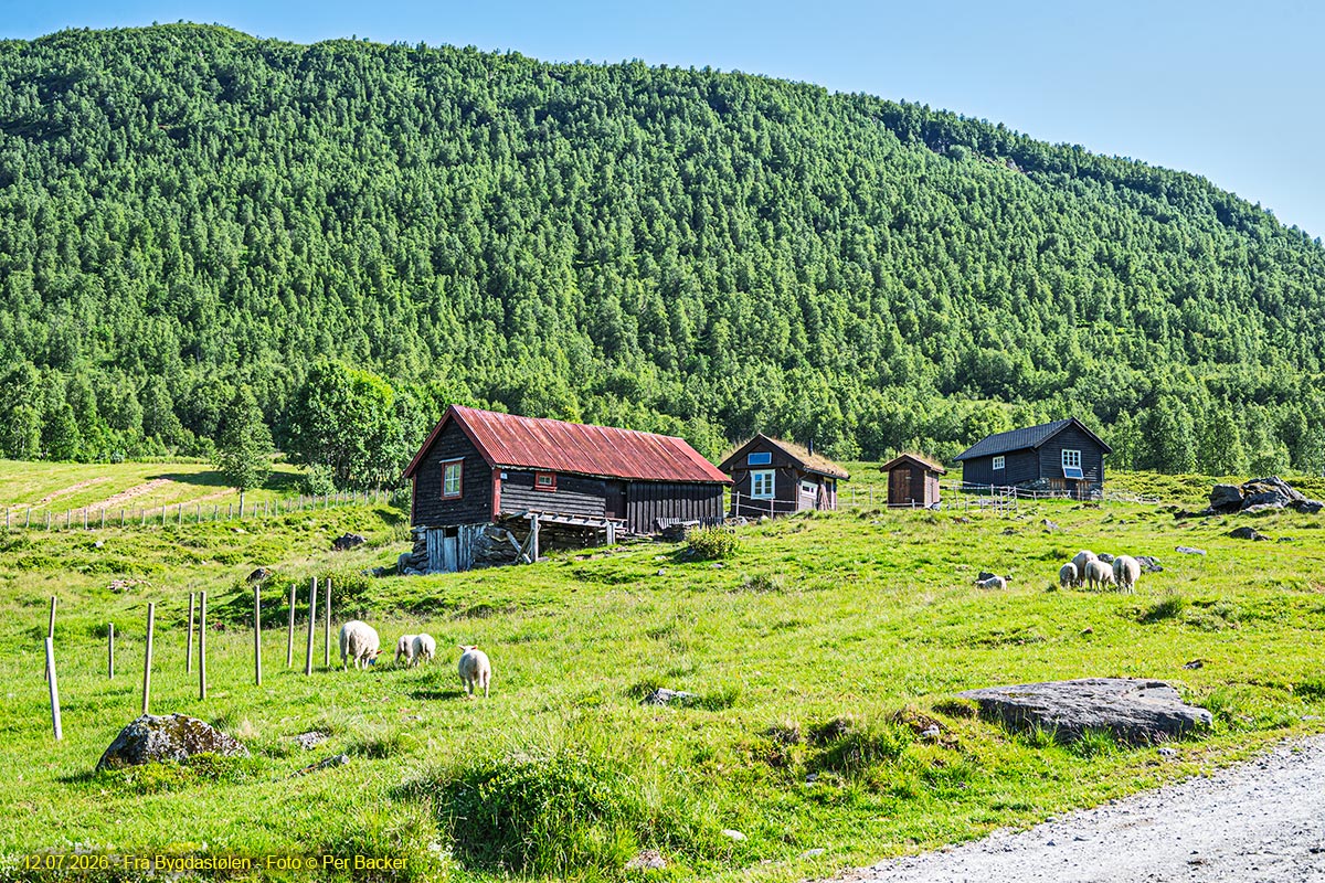 Frå Bygdastølen