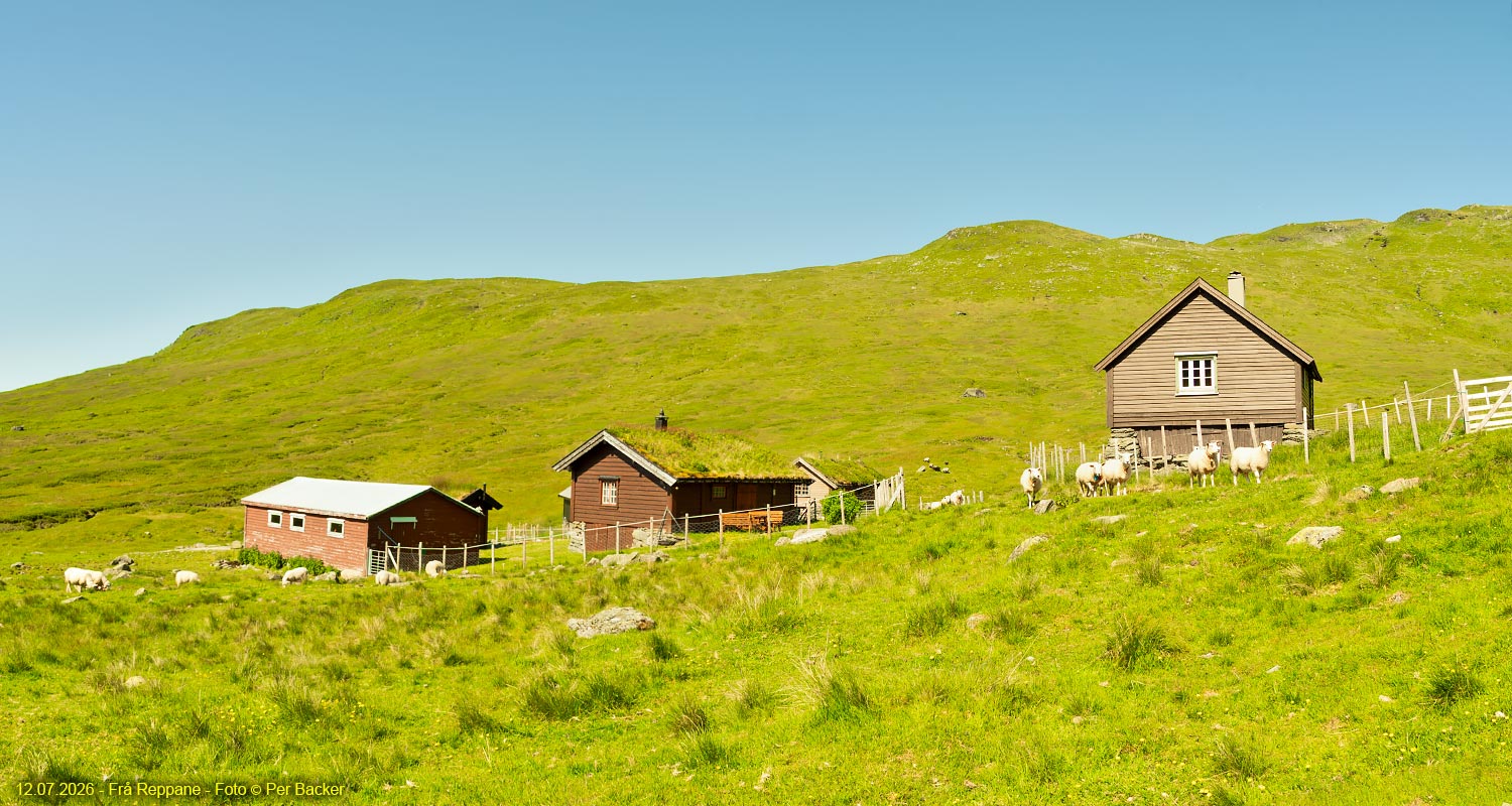 Frå Reppane