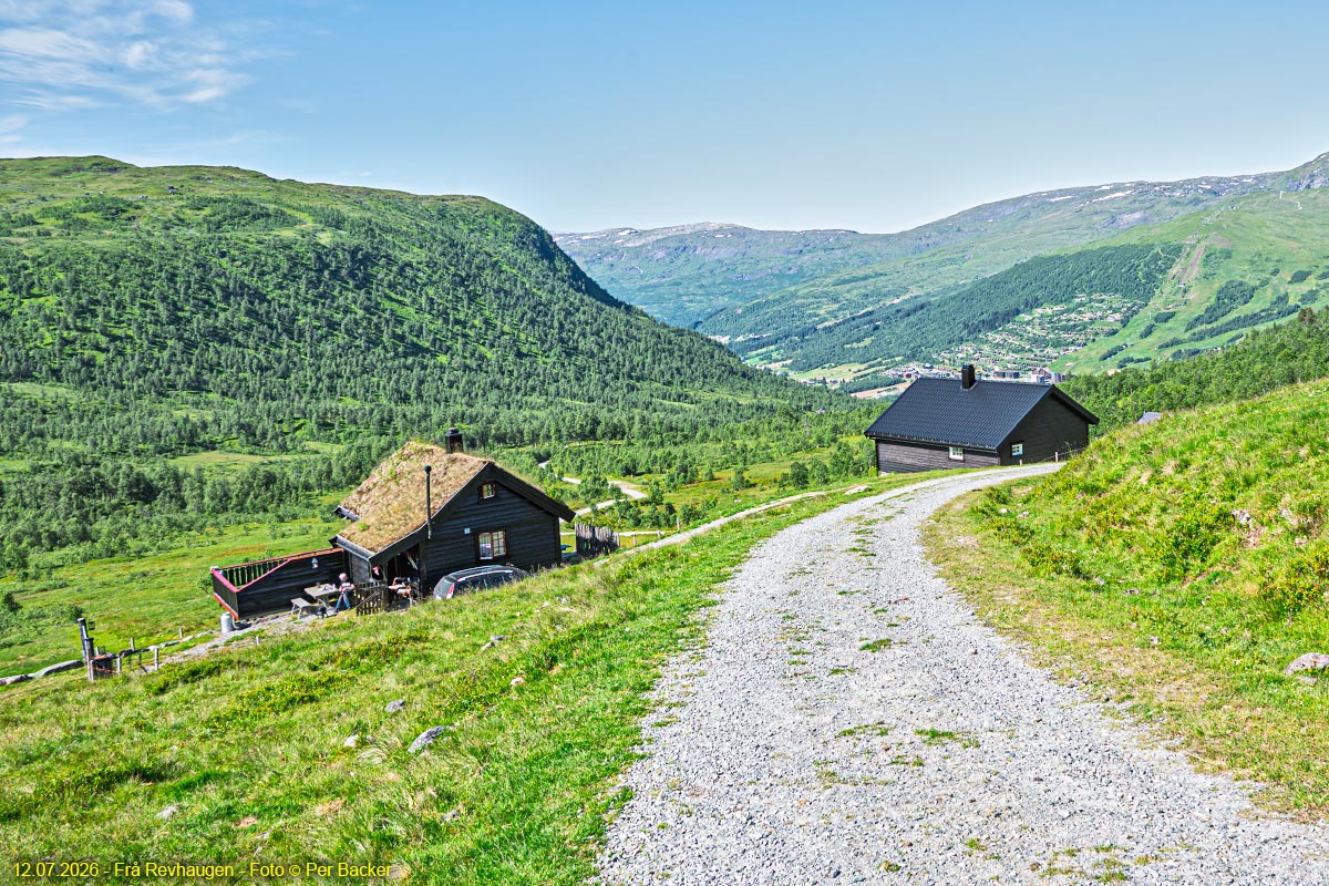 Frå Revhaugen
