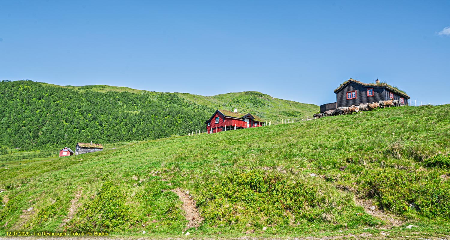 Frå Revhaugen