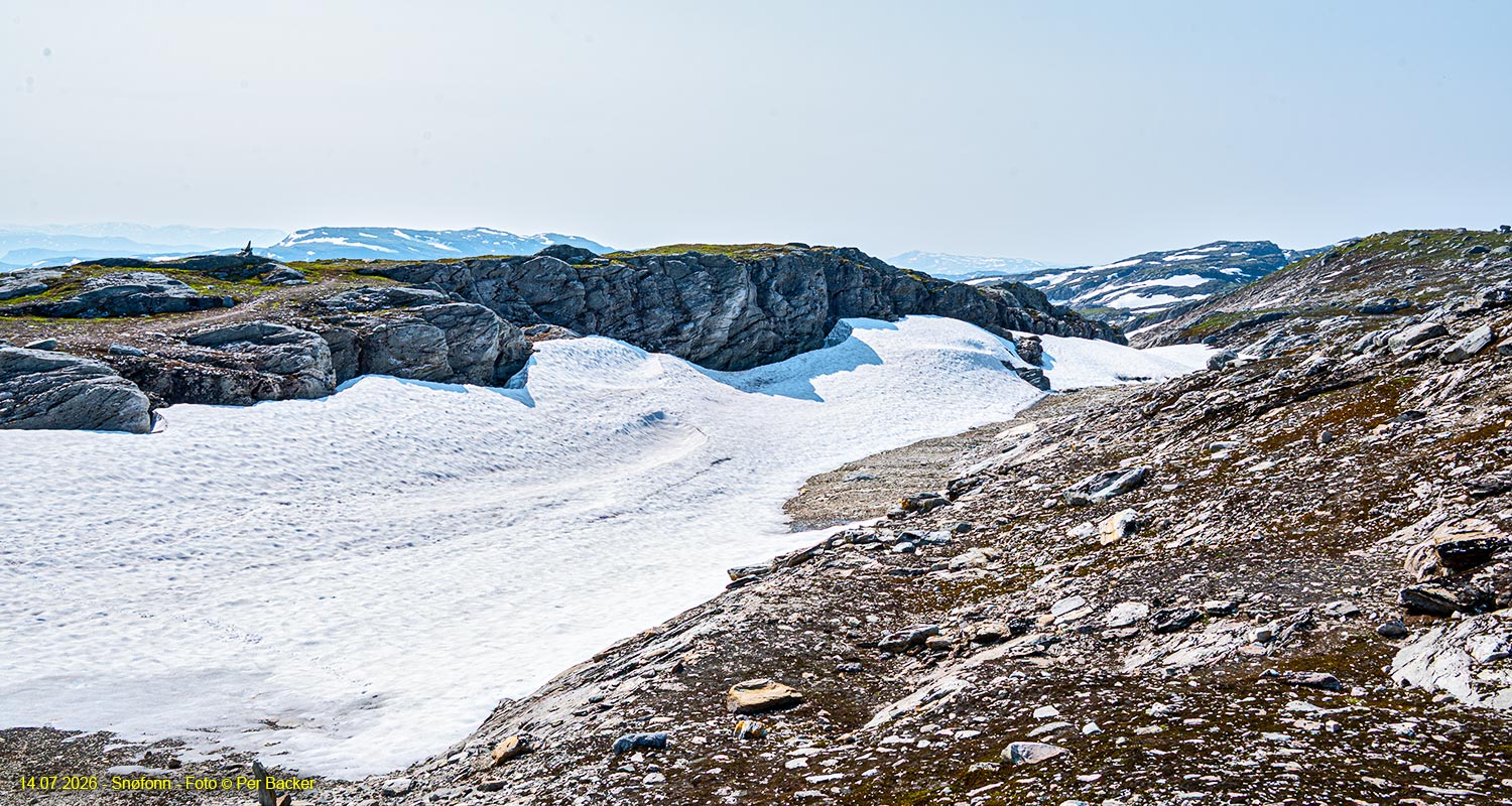 Snøfonn