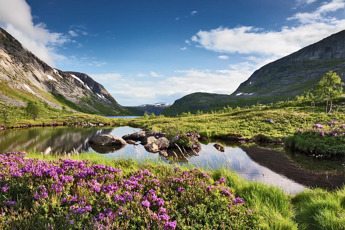 Sommardag i fjellet (KI)