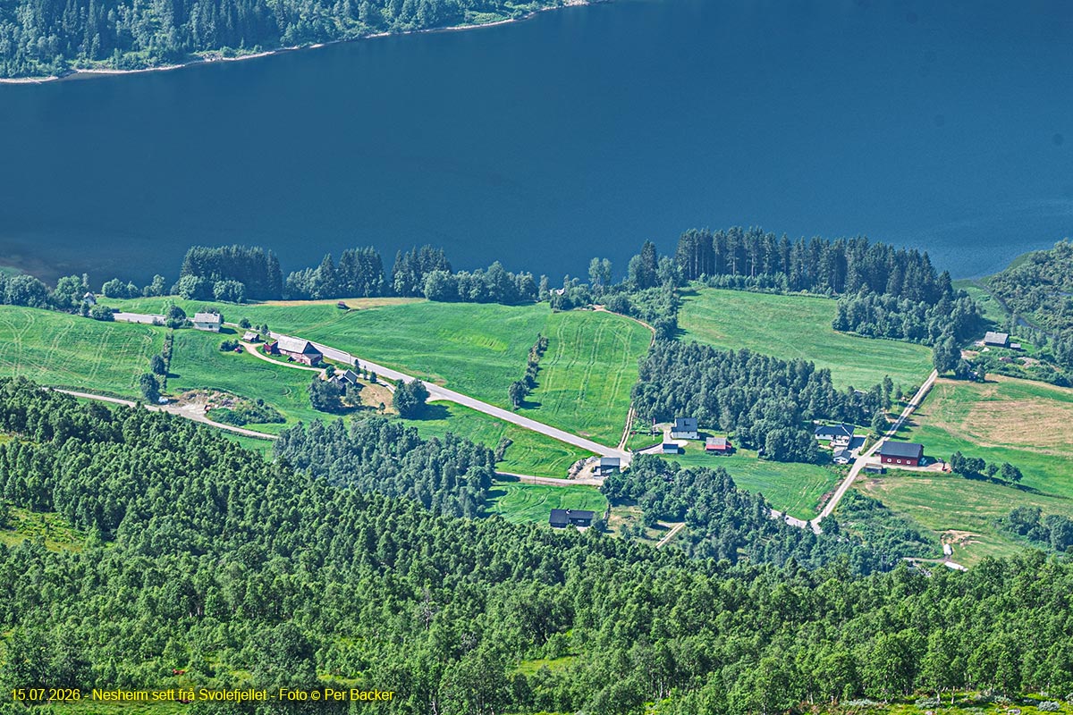 Nesheim sett frå Svolefjellet