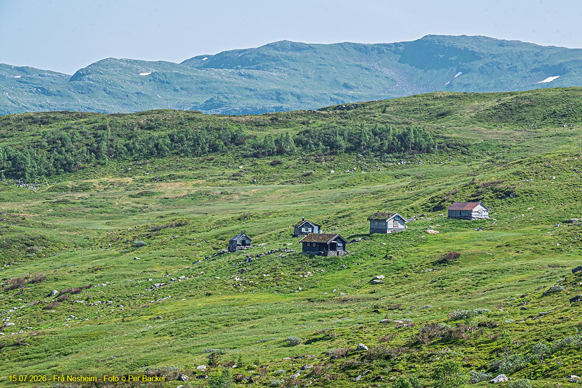 Svoleset