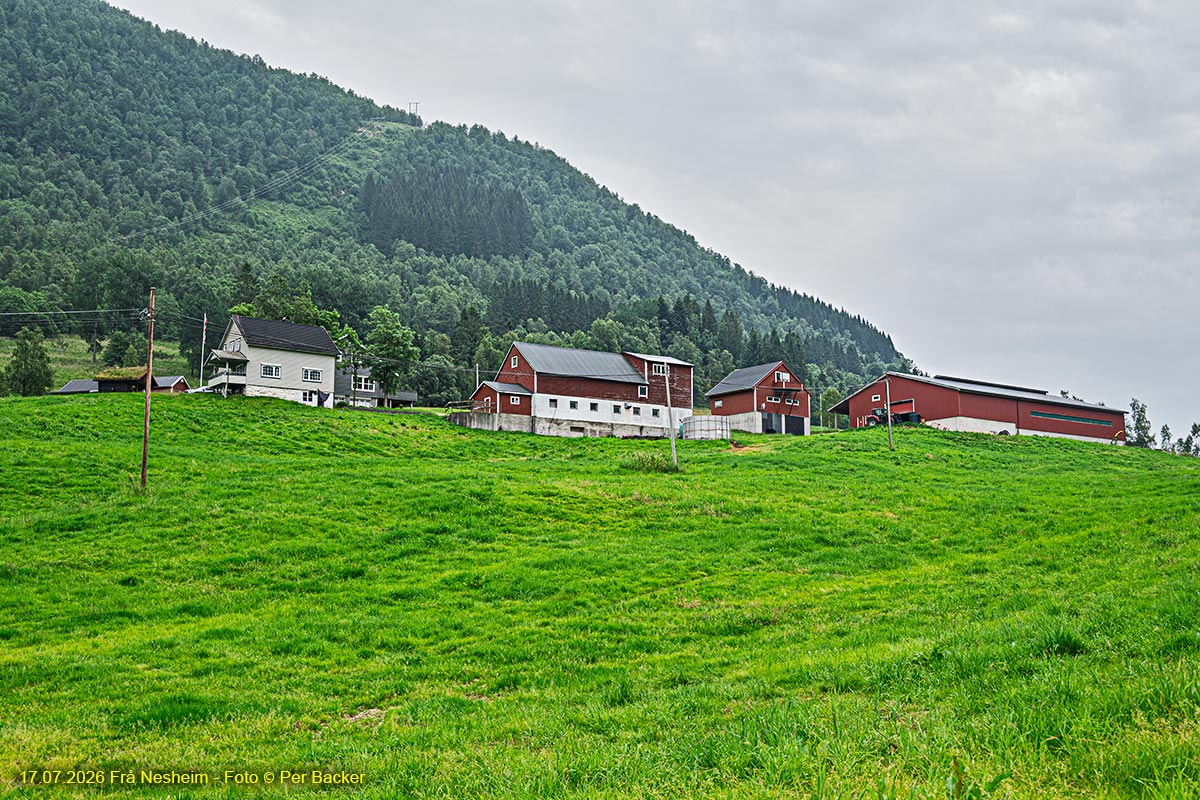 Frå Nesheim