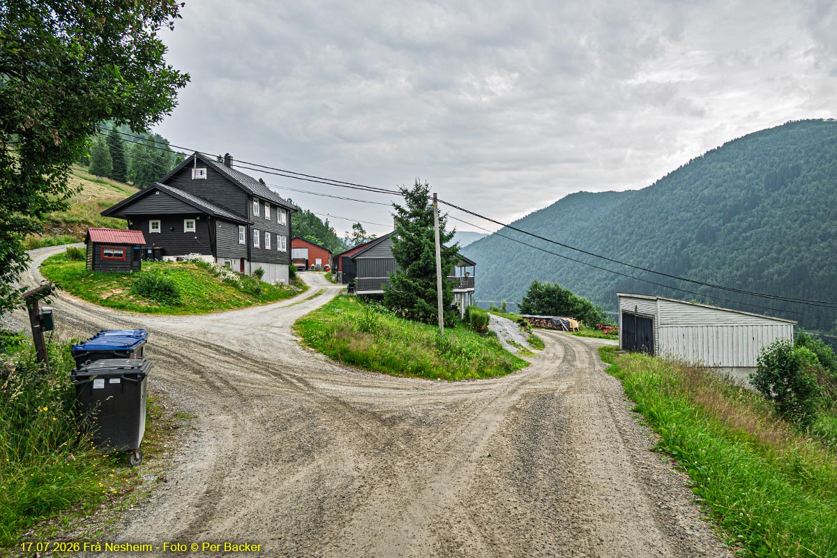 Frå Nesheim