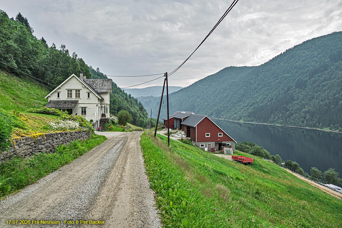 Frå Nesheim