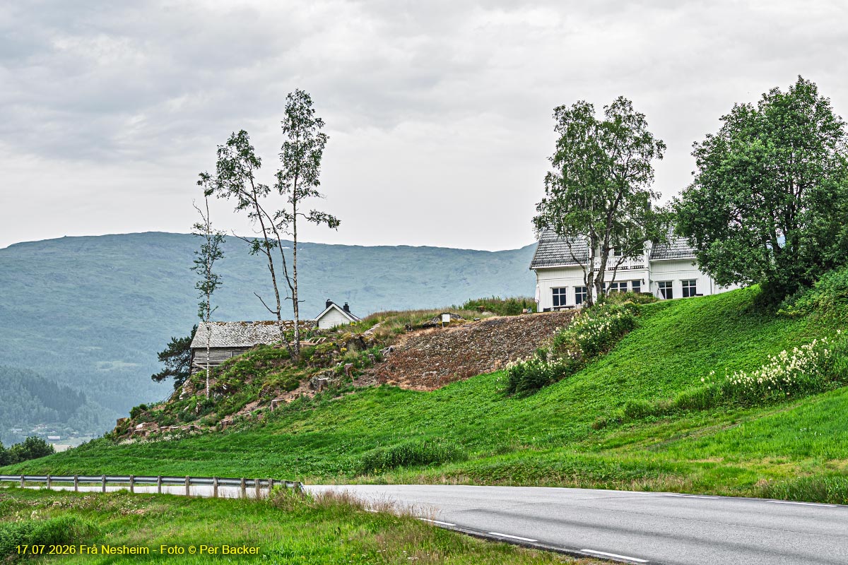 Frå Nesheim