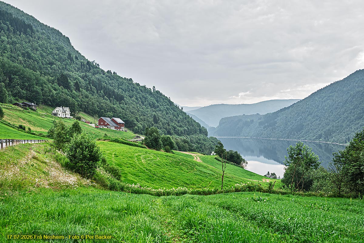 Frå Nesheim