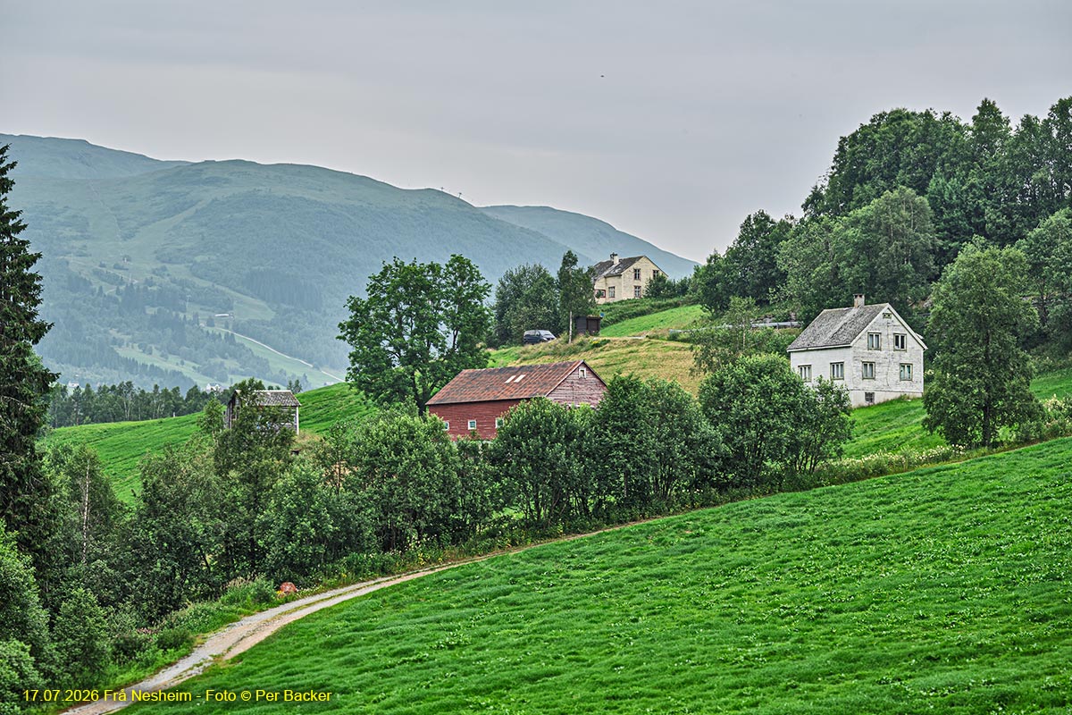 Frå Nesheim