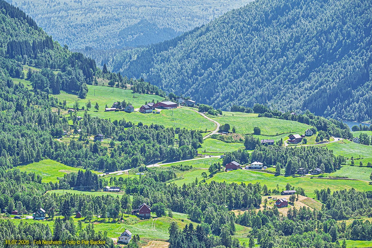 Frå Nesheim