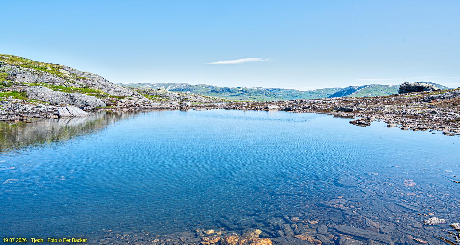 Tjødn