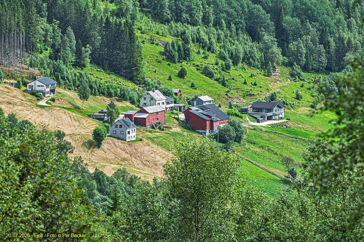 Fjeli