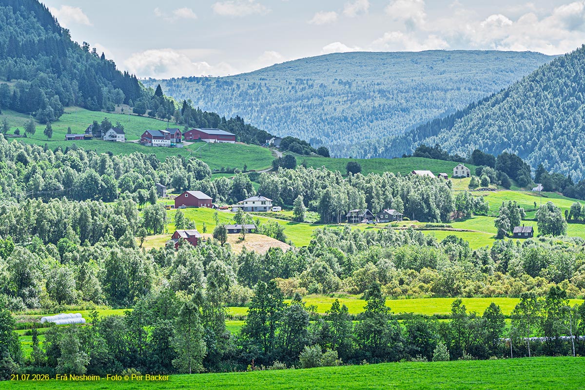 Frå Nesheim