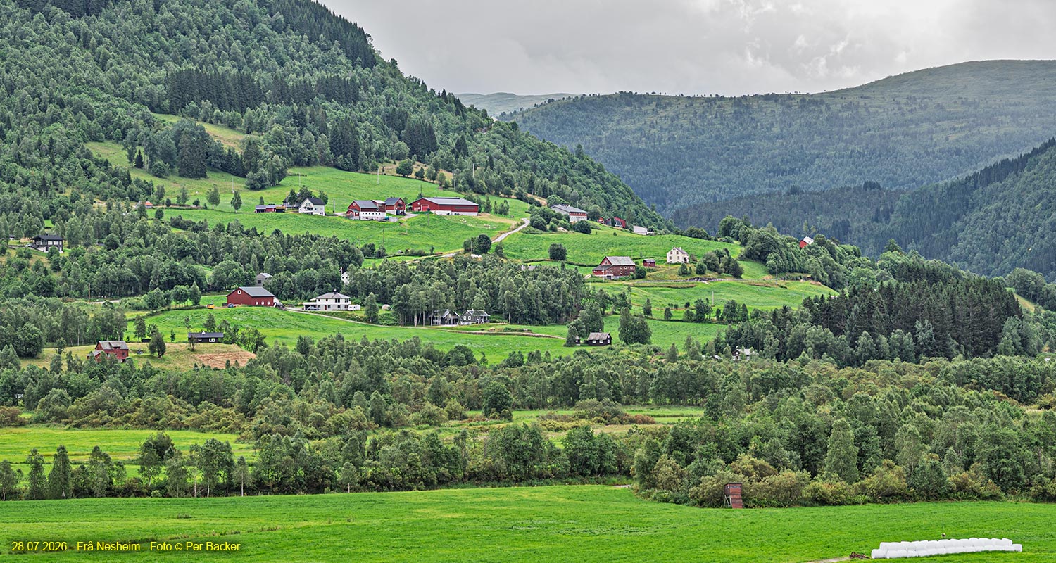 Frå Nesheim