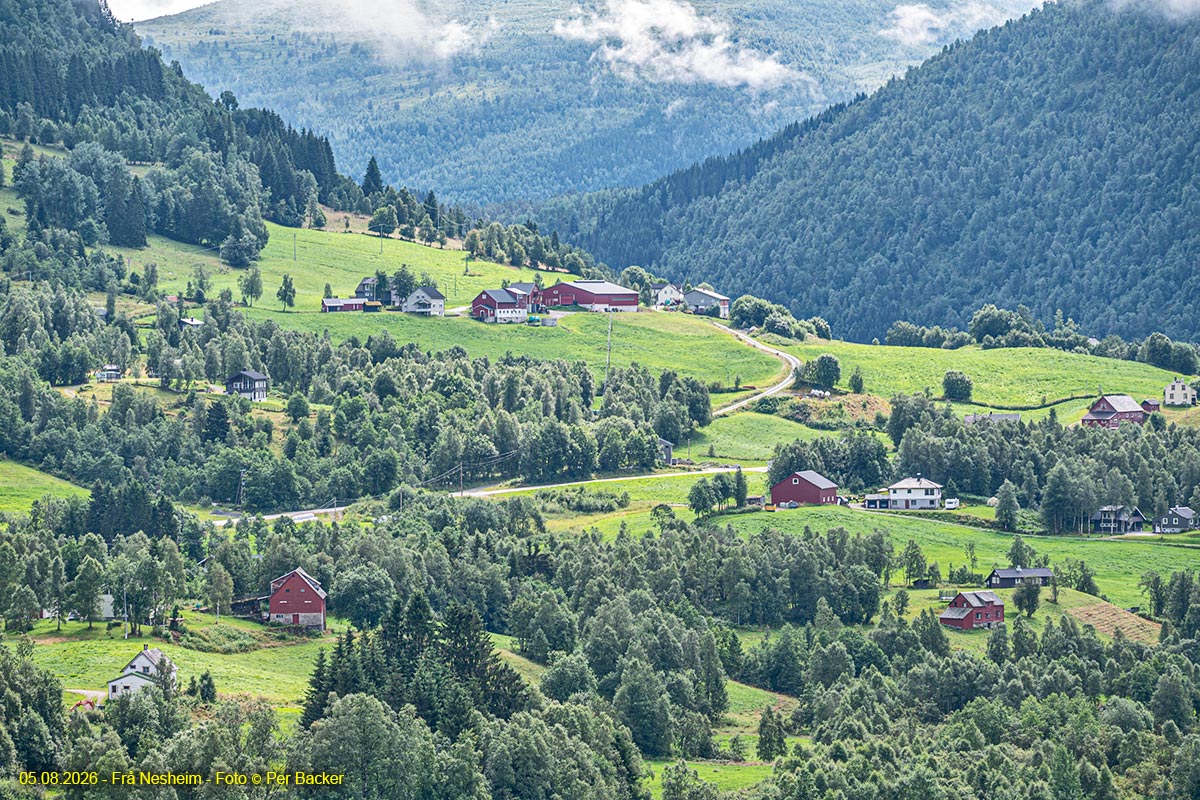 Frå Nesheim