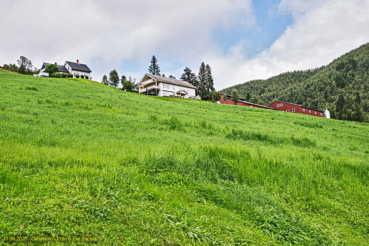 Gilbakken