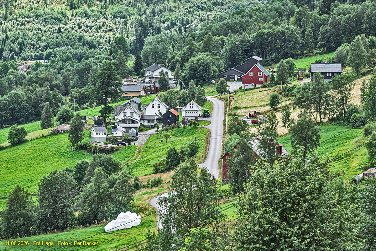 Frå Haga