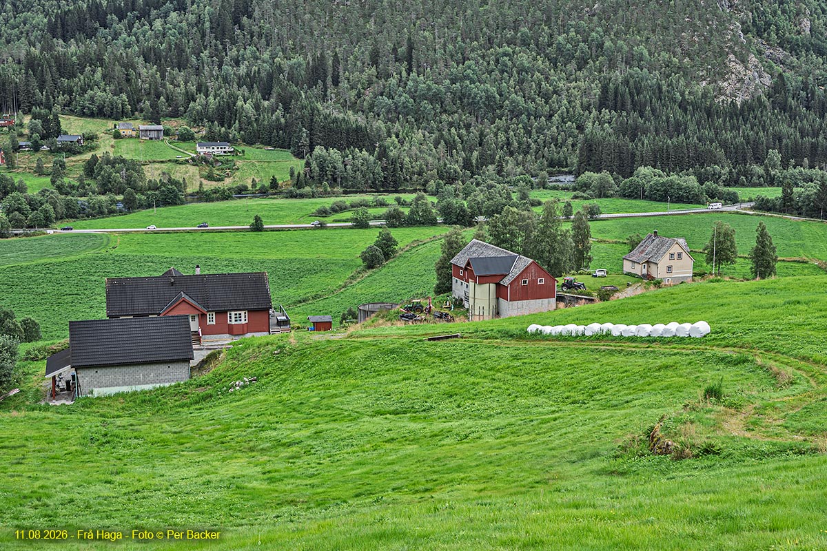 Frå Haga