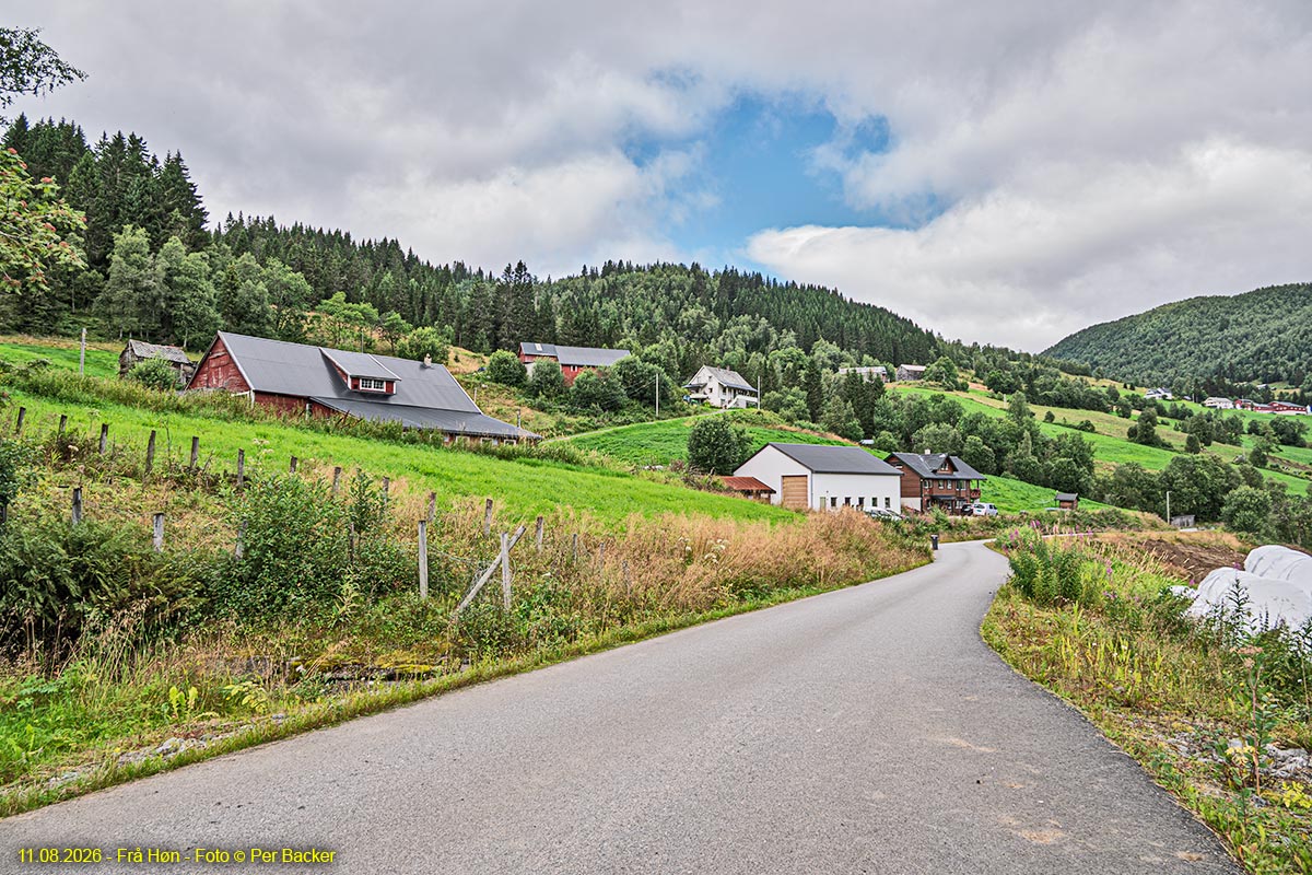 Frå Høn