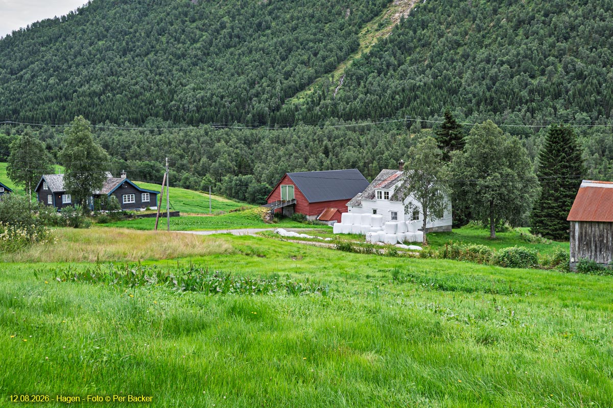 Hagen