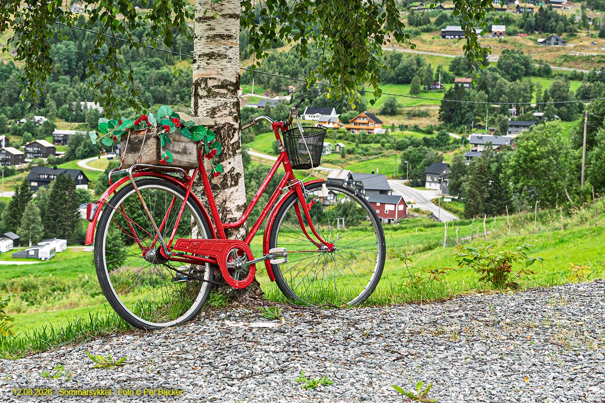 Sommarsykkel