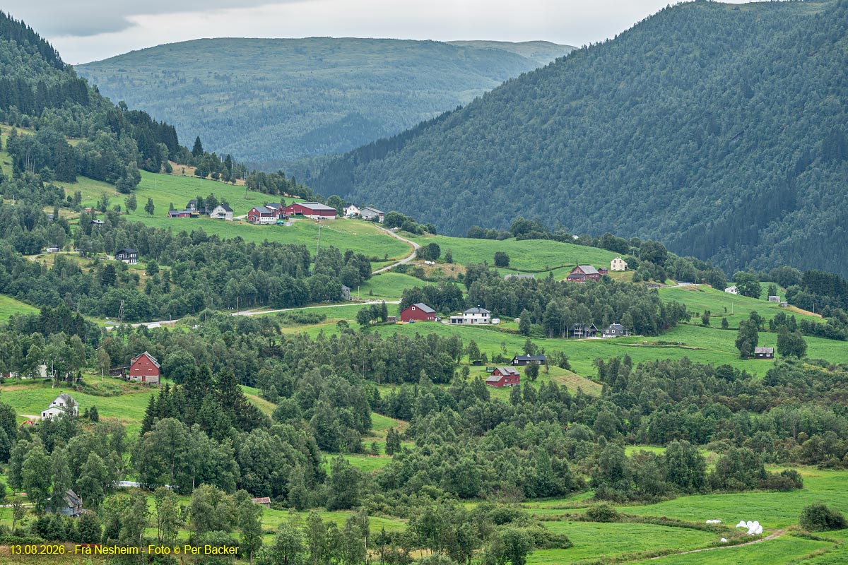 Frå Nesheim