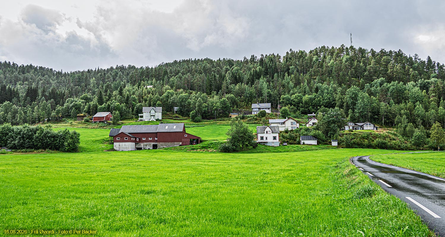 Øyjordi