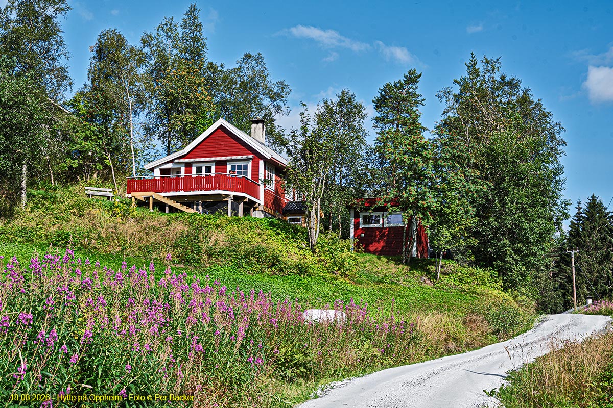 Hytte på Oppheim