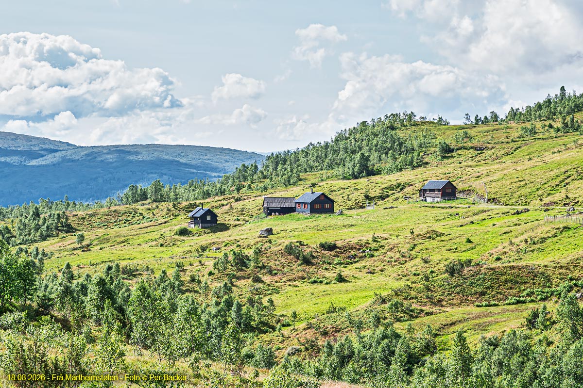 Frå Martheimstølen