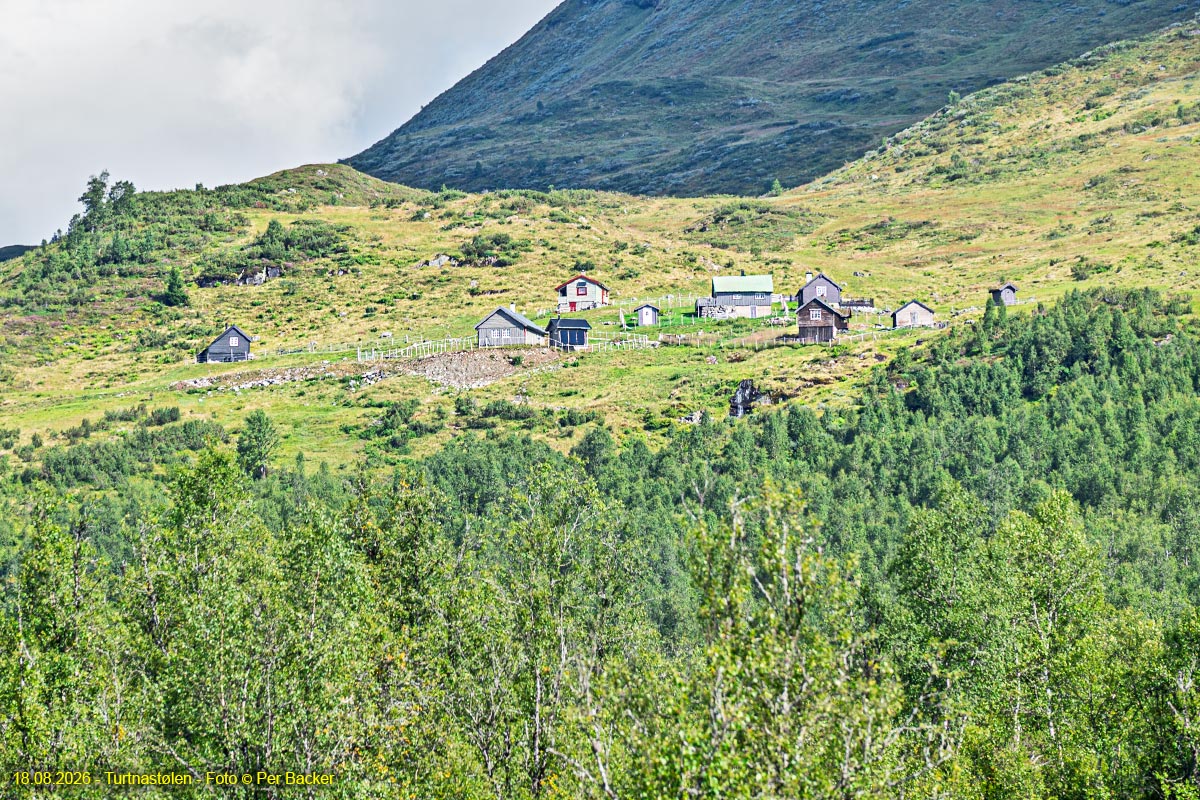 Turtnatølen